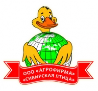 Бройлер суточный