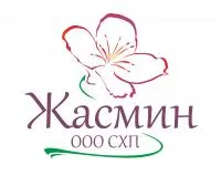 Ель колючая голубая
