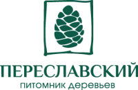 Саженцы Ели крупномер