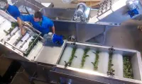 Щеточная моечная машина консервного производства