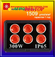 RDM ПОБЕДА П 330