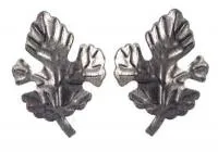 CY-M020